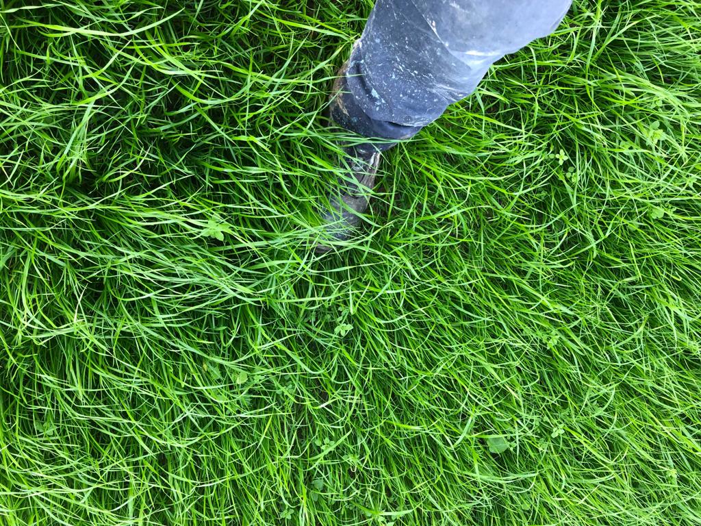 2019-07-09-09.52.52-1-3