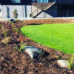Bailey Job - Gardens & Lawn