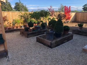 Garden beds 2
