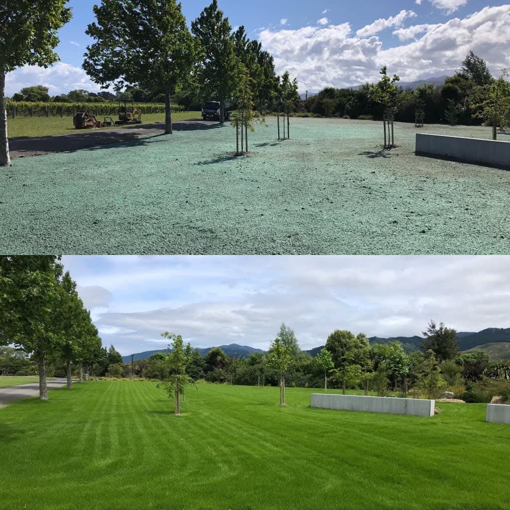 Hydroseeding before and after