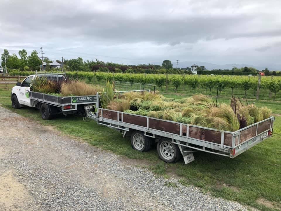 Plants on trailer
