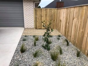 Simple Landscaping