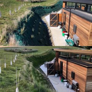 hydroseeding erosion